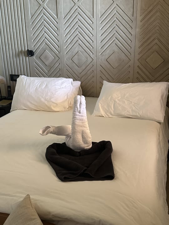 Zimmer Mövenpick Resort El Quseir