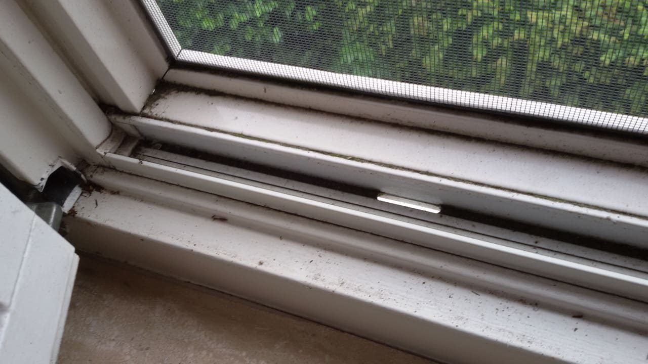 Zimmer Ferienpark Landal Hunerwold State