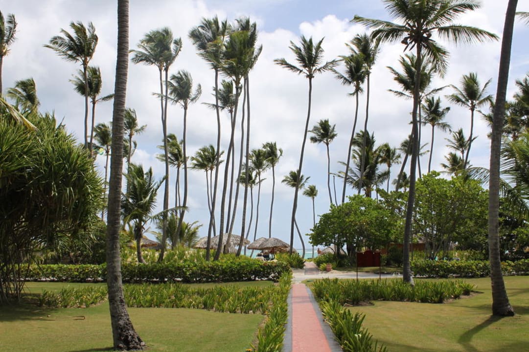 Strandblick Hotel Grand Palladium Palace Resort, Spa & Casino