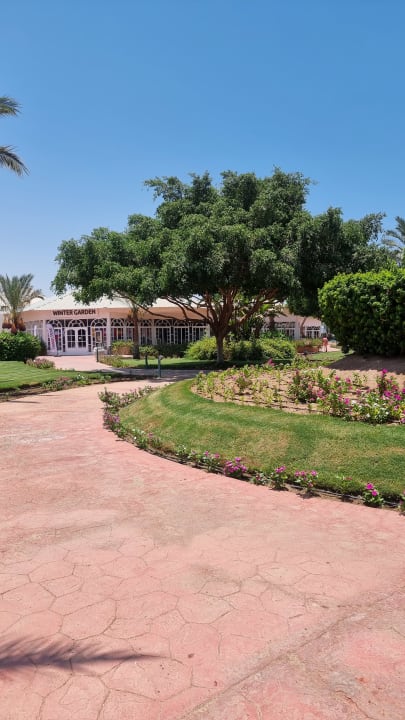 Außenansicht Desert Rose