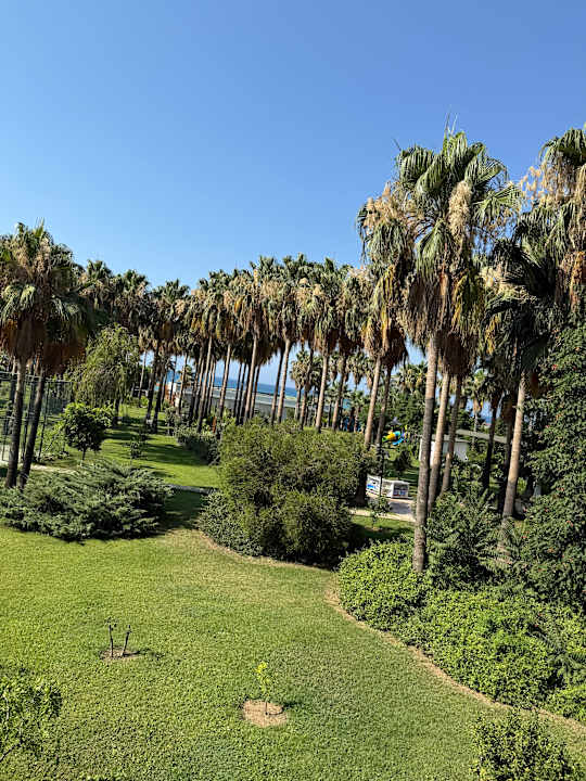 Gartenanlage Royal Atlantis Beach Hotel