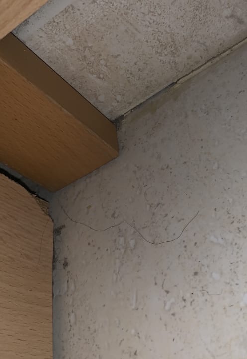 Zimmer MLL Palma Bay Club Resort