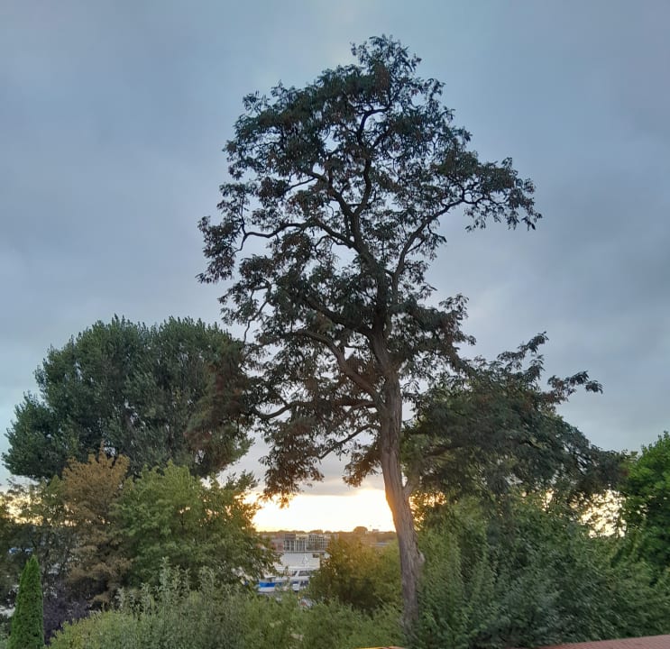 Sonstiges Landhotel Ehlers