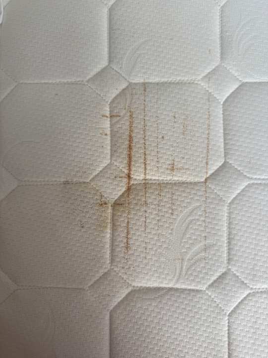 Zimmer Kamelya Aishen Club