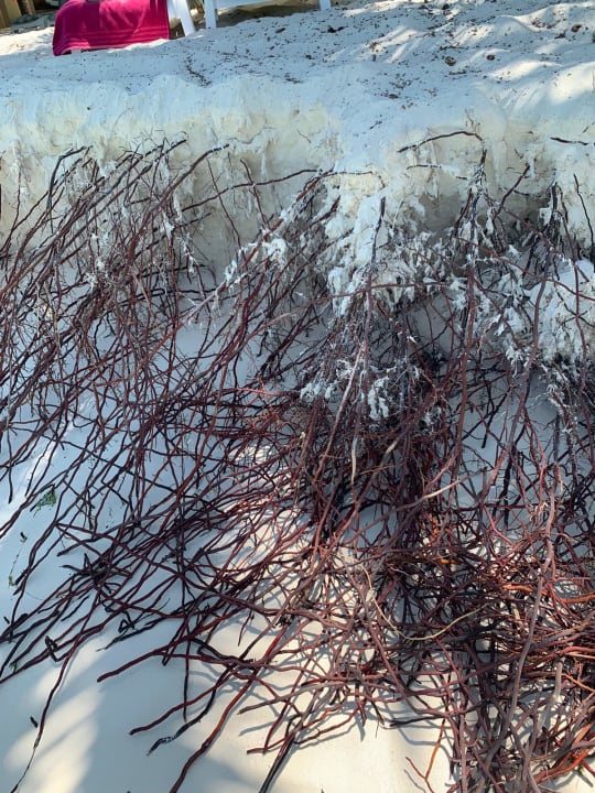 Strand Summer Island Maldives