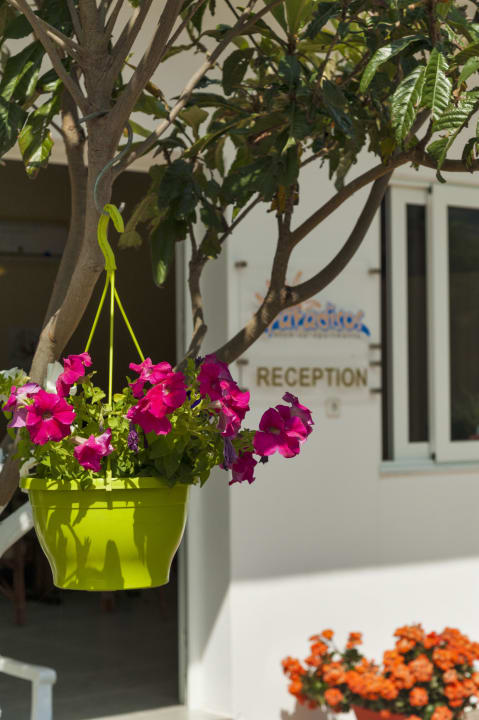 Sonstiges Paradisos Studios  Apartments