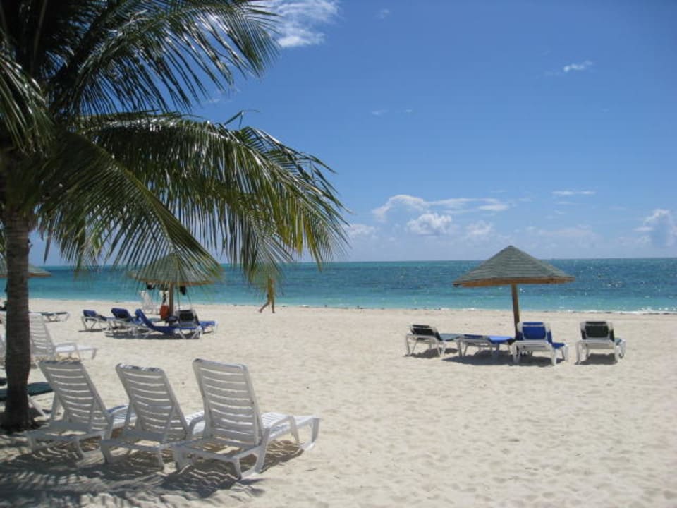 Strand Viva Fortuna Beach by Wyndham - All Inclusive Resort