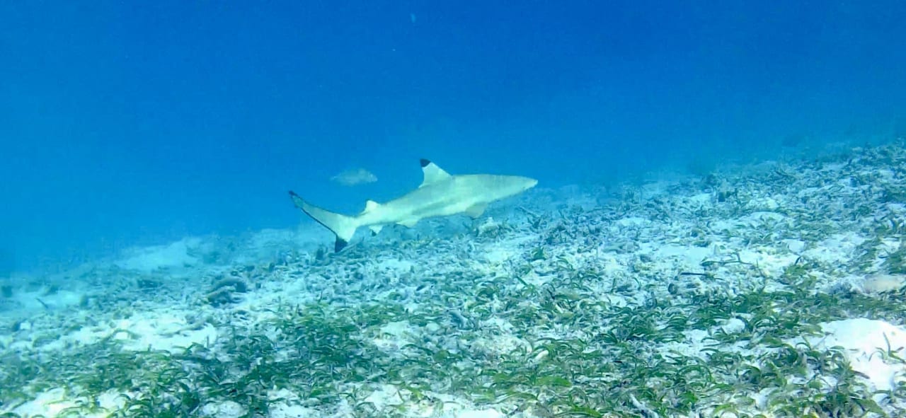 Sport & Freizeit Adaaran Select Hudhuran Fushi - Premium All Inclusive