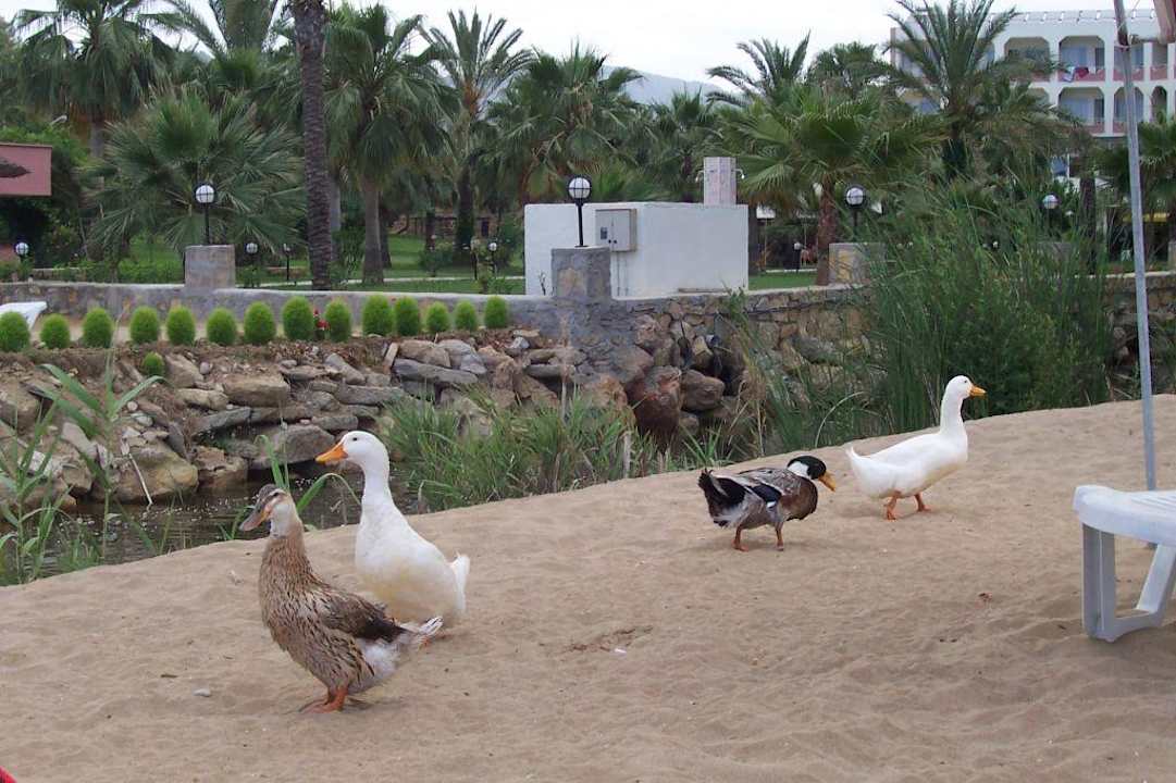 Wir gehören dazu Top Hotel