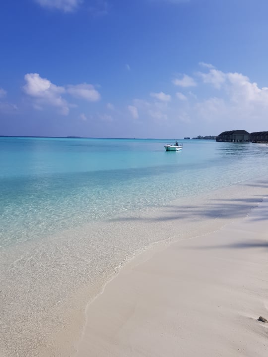 Strand Summer Island Maldives