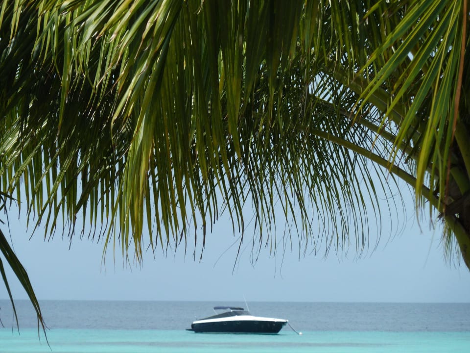 Ausblick vom Pool Kuredu Island Resort & Spa
