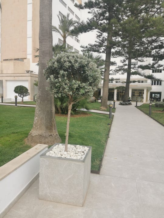 Gartenanlage CM Playa del Moro