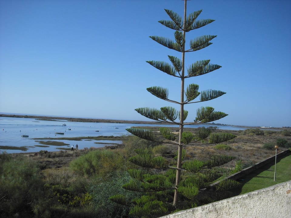 Blick vom Balkon  /Rio Formosa Golden Club Cabanas