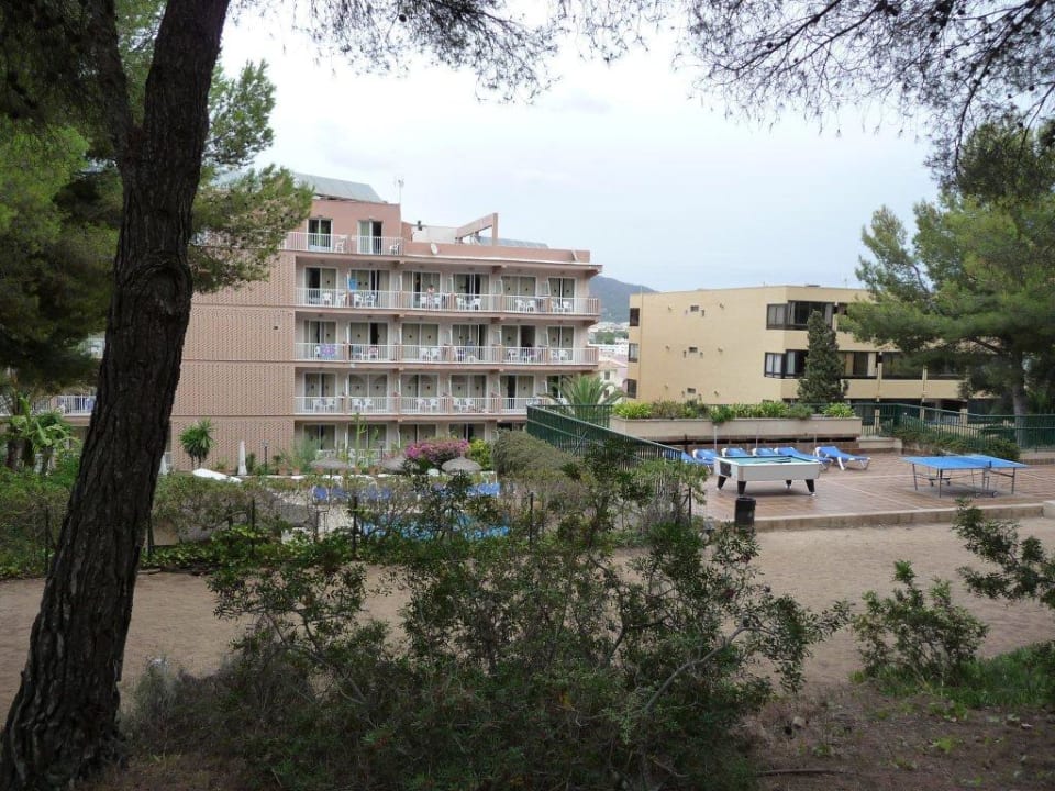 Widok z ogrodu przyhotelowego Reverence Life  - Adults only