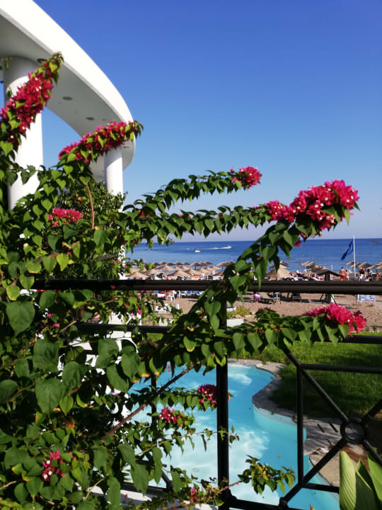 Ausblick Hotel Calypso Beach