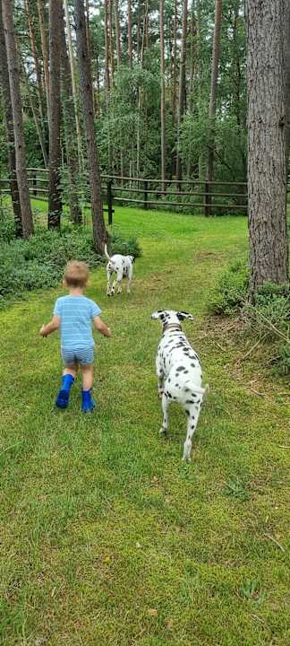 Außenansicht Ferienhof Zur Alten Fuhrmanns-Schänke