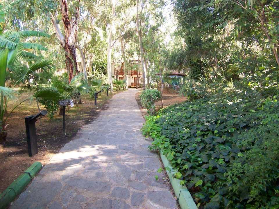 Außenanlage Intourist Club Belek