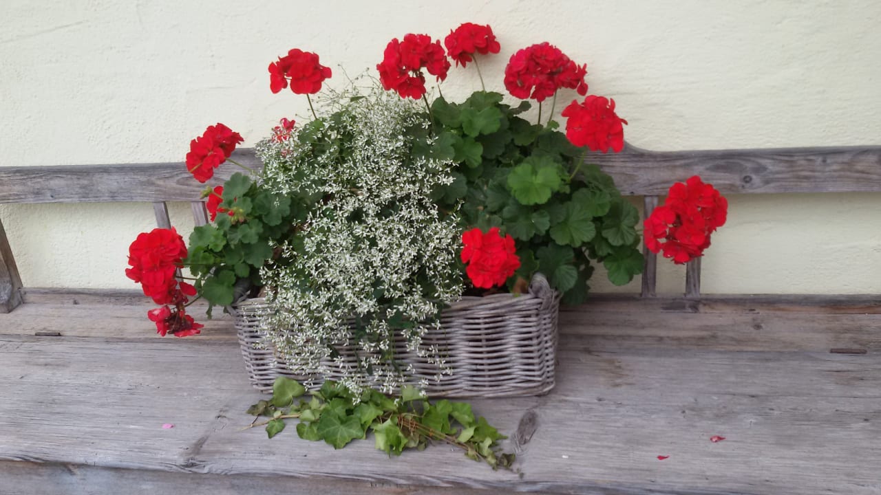 Sonstiges Gästehaus Bramböck