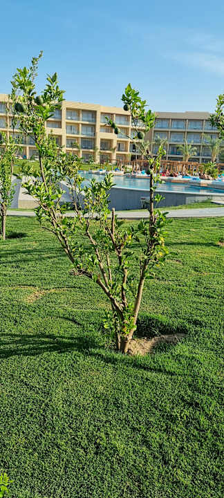 Gartenanlage JAZ Elite Asteria