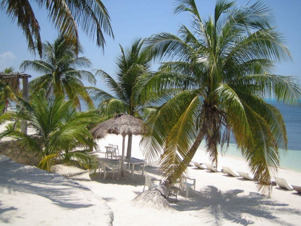 Katamaran Hotel Riu Tequila