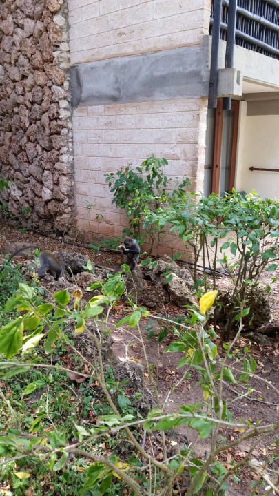 Hotel Baobab Beach Resort Baobab Beach Resort & Spa