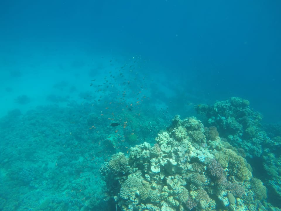 Strand Makadi Spa - Adults only