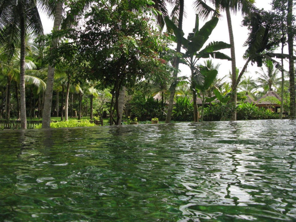 Der große Pool The Ubud Village Resort & Spa