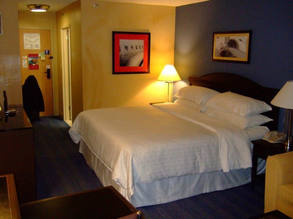 Zimmer Hotel Sheraton North Houston at George Bush Intercontinental