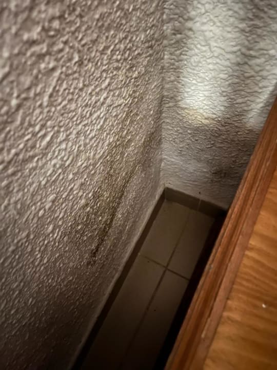 Zimmer Flipflop Cala Romantica