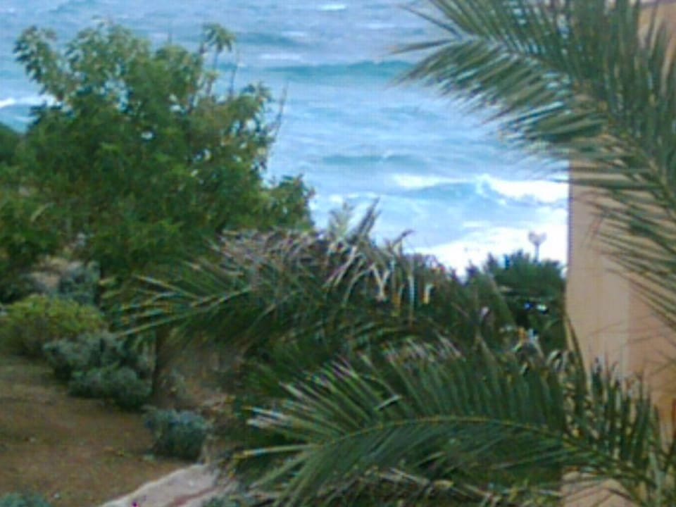 Blick aus dem Fenster-Balkon VIVA Cala Mesquida Resort & Spa