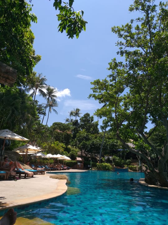 Pool Panviman Resort Koh Phangan