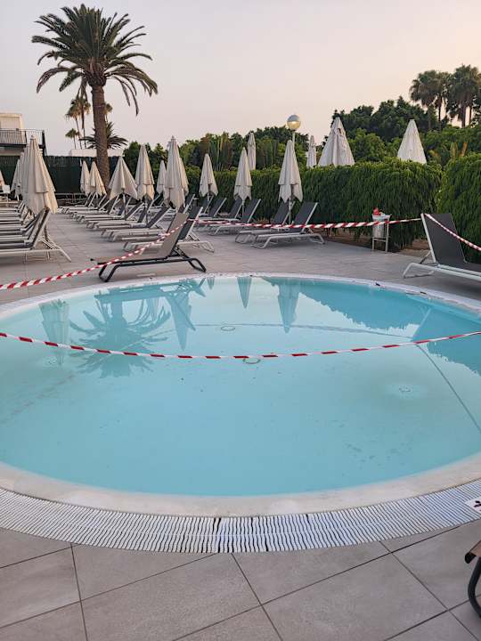 Pool Canary Garden Club