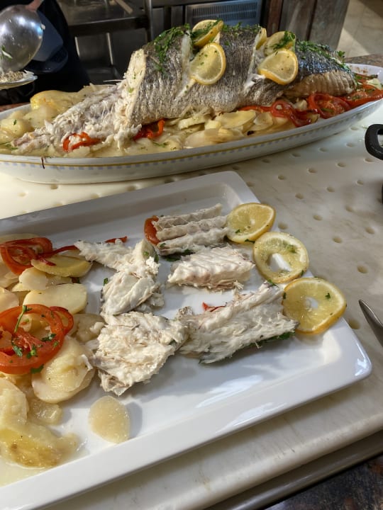 Gastro Zafiro Tropic