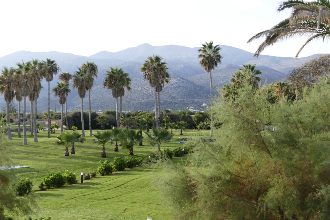 Ausblick Calimera Sirens Beach
