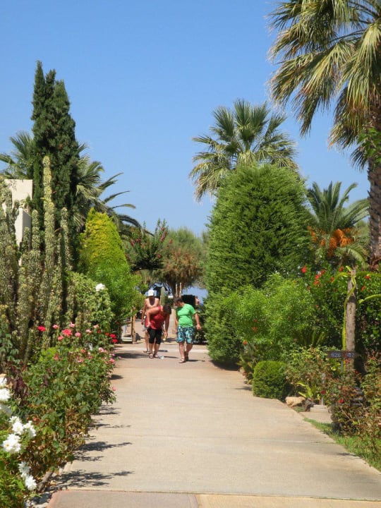 Der kurze Weg zum Meer Phãea Cretan Malia