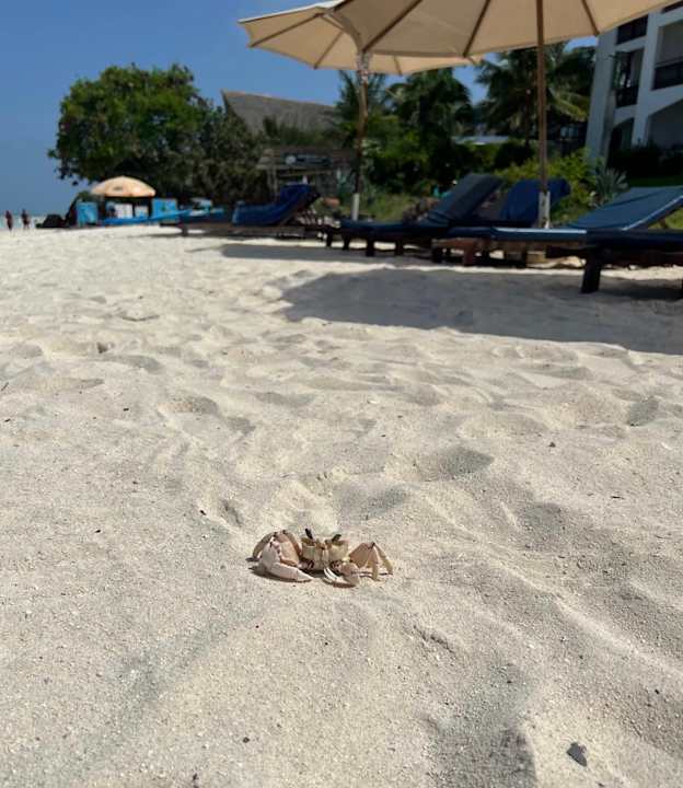Strand Royal Zanzibar Beach Resort