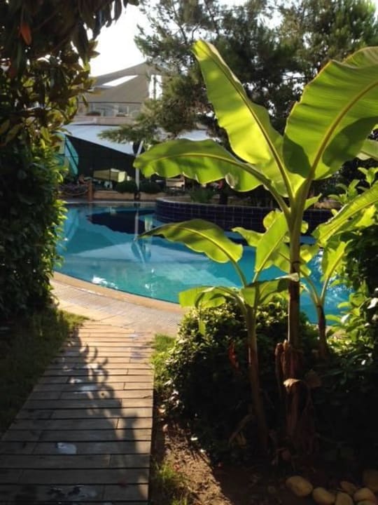 Zimmerblick  Paloma Pasha