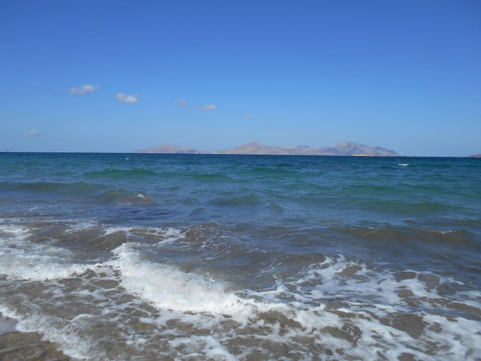 Strand Palladium