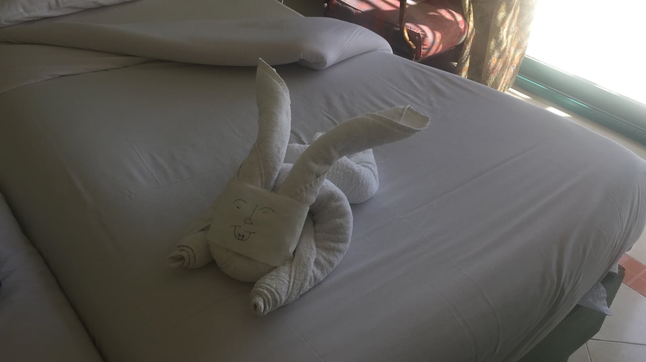 Zimmer Shams Safaga Resort