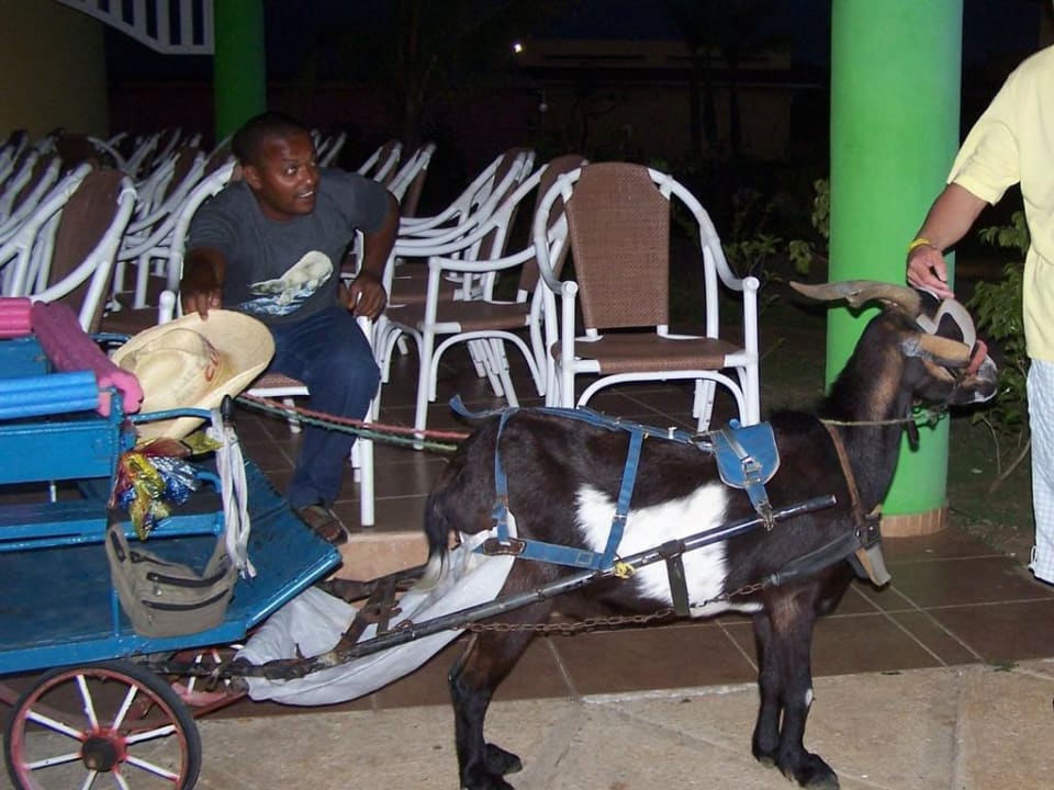 Zahrada Memories Caribe Beach Resort