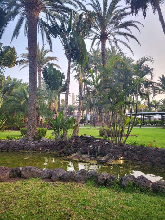 Gartenanlage Hotel Riu Palace Oasis