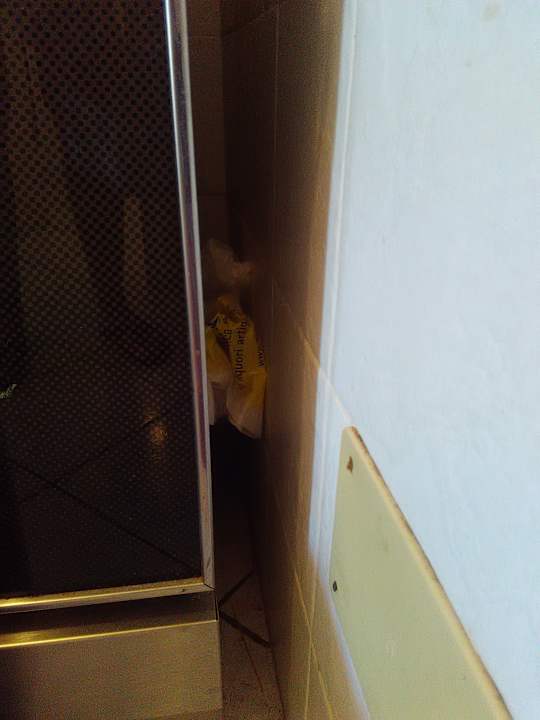 Zimmer Apartments in Marina Di Bibbona