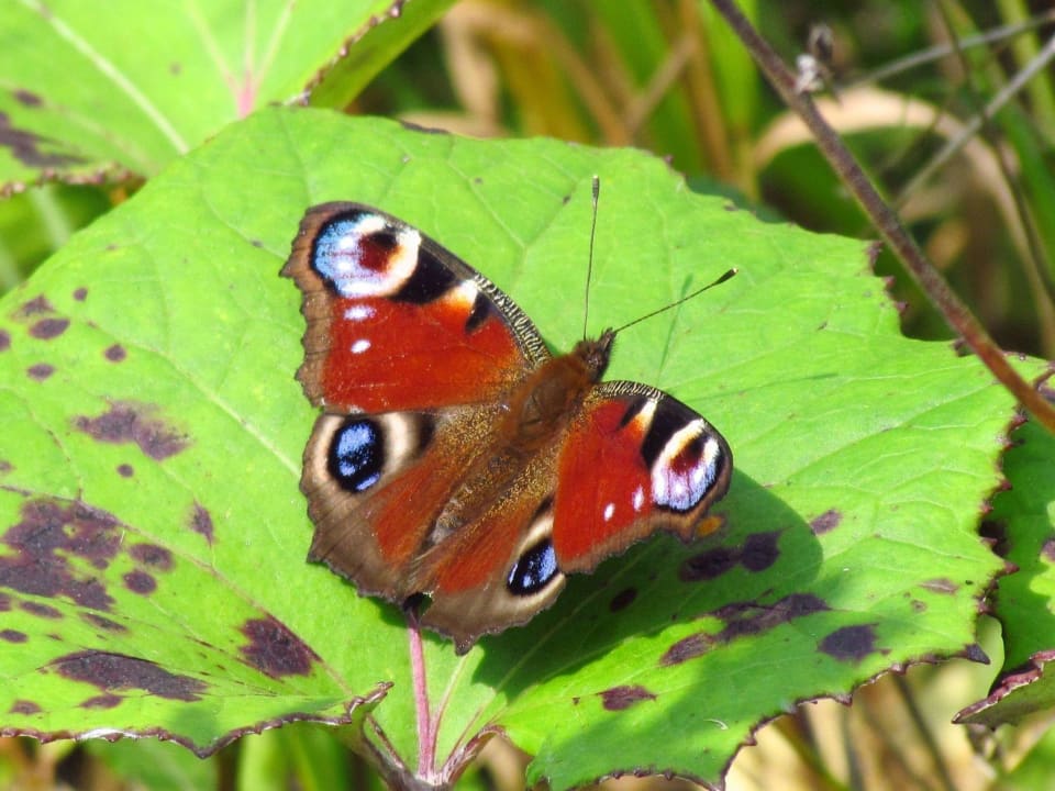 Příroda kolem nás Hotel Ochsendorf
