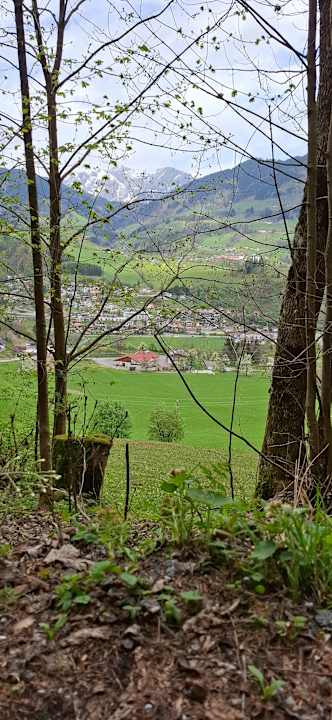 Ausblick Urlaub am Bauernhof Ferienparadies Taxen