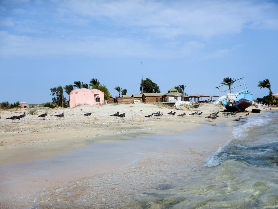 Strand Shams Alam Beach Resort