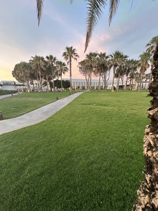 Außenansicht Paloma Finesse