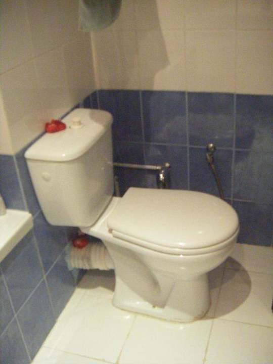 Hotel Ksar Djerba The Ksar Djerba Charming Hotel & SPA