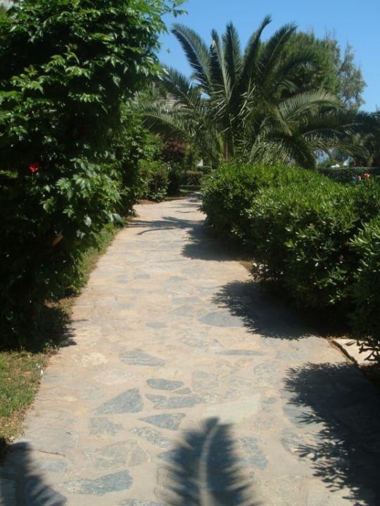 Weg zum Strand Apollonia Beach Resort & Spa