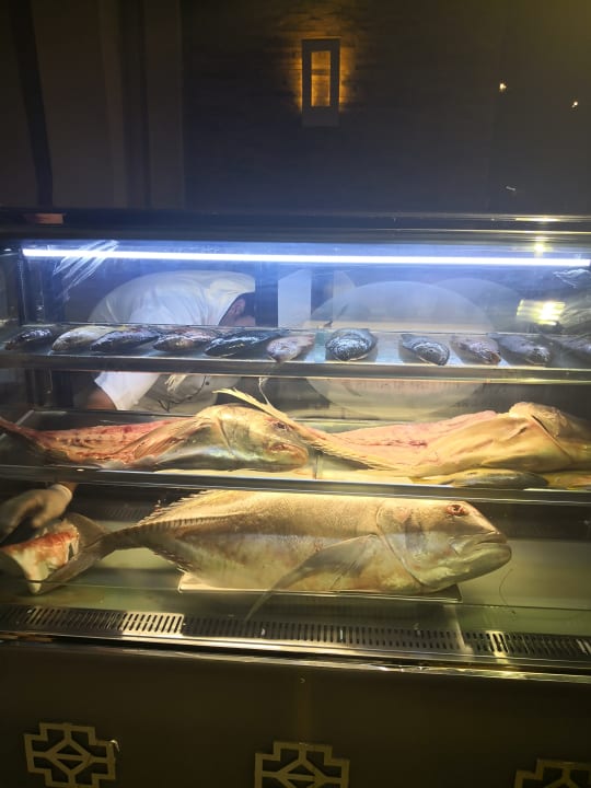 Gastro Pickalbatros Sea World Resort - Marsa Alam