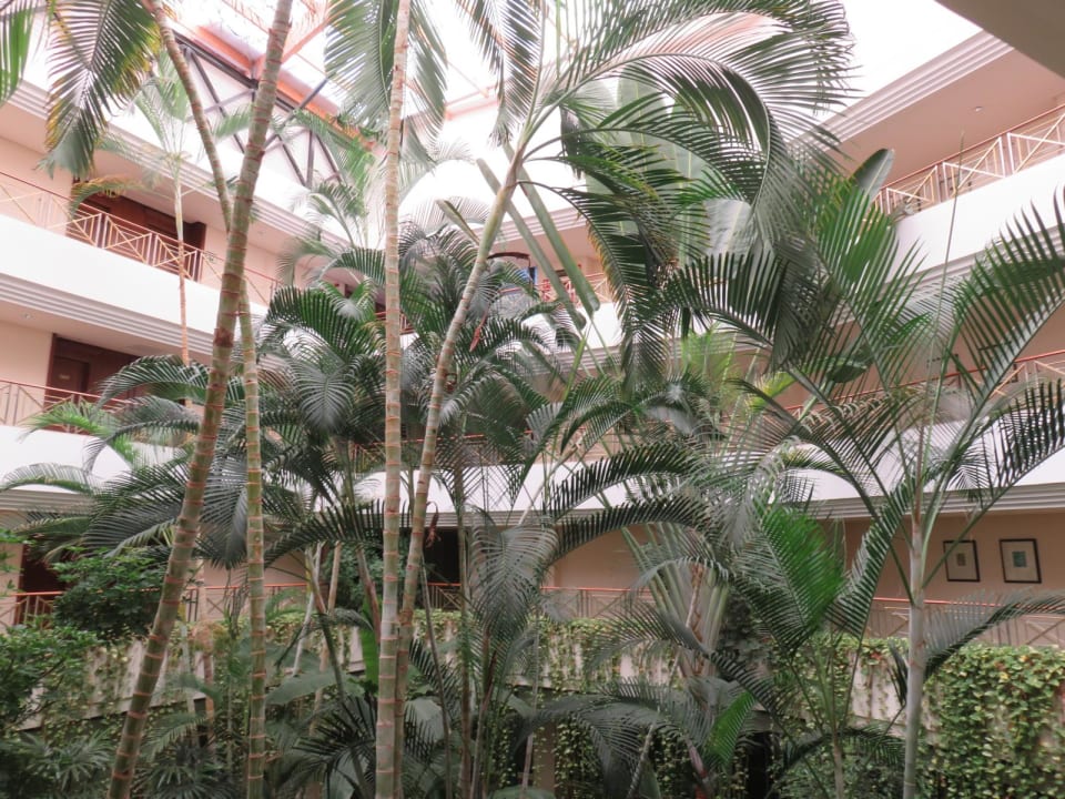 Sonstiges Hipotels Natura Palace